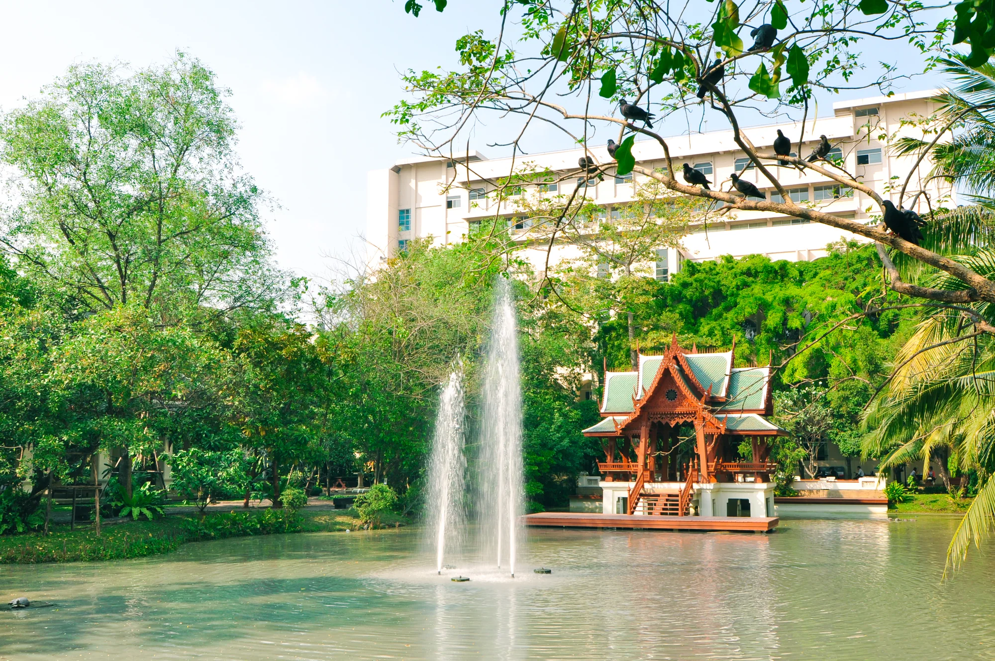 DPU Campus, Bangkok